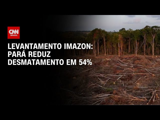 Pará reduz desmatamento em 54%, mas segue no topo da Amazônia Legal | LIVE CNN