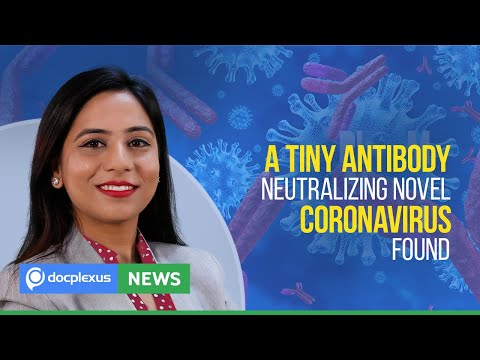 Scientists Discover An Antibody That Neutralizes Novel Coronavirus, And Many More