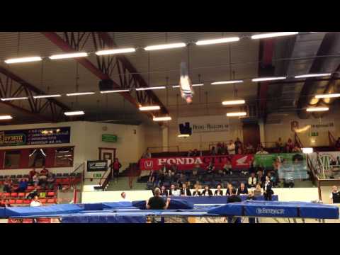 Trampolin SM 2013 Jonas Nordfors andra serie