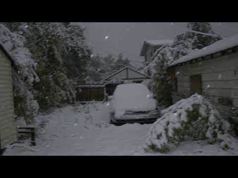 [free] skele + guardin + midwest emo type beat - "despair" (wisssery)