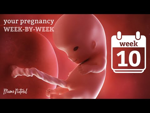 10 Weeks Pregnant - Natural Pregnancy Week-By-Week