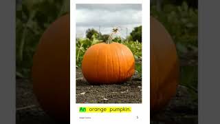 aa orange