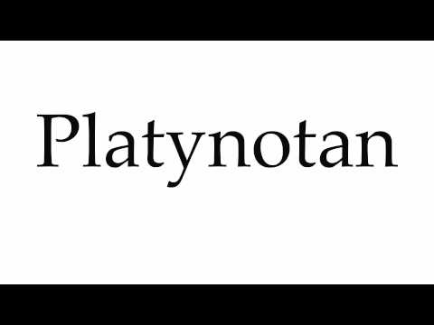 How to Pronounce Platynotan