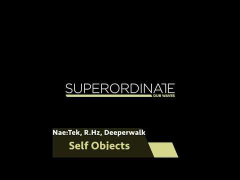 Nae:Tek & Deeperwalk - Idealizing (Original Mix)