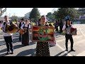 Desfile dos Bois da Páscoa 2016 - 3