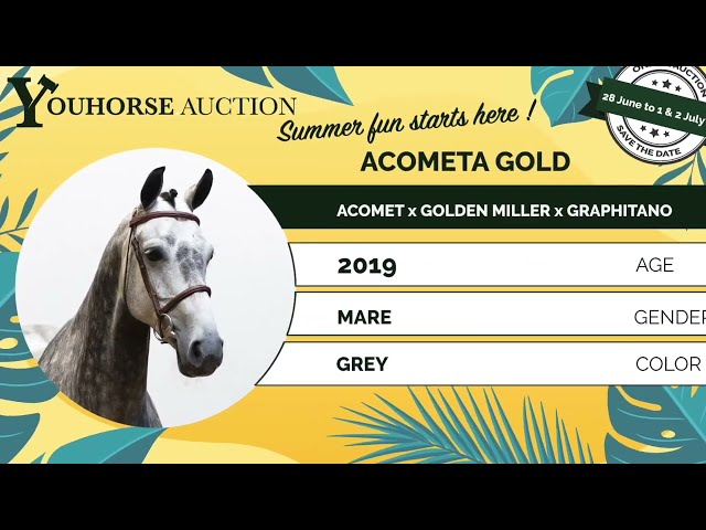 Acometa Gold showvideo outdoor