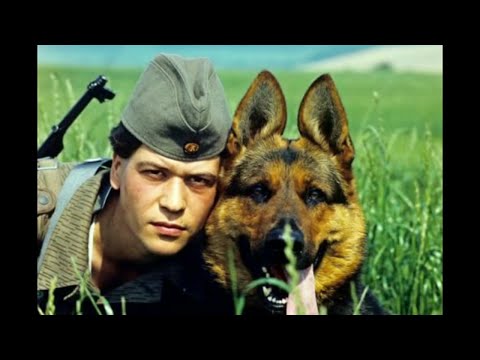 Grenztruppen der DDR - Dies ist unser Land (Komplette Version)