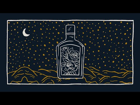 Hudson Moore - Can't Waste Whiskey (Official Lyric Video)