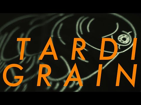 T A R D I G R A I N (Promo Video feat. Outdoor Projection Mapping )