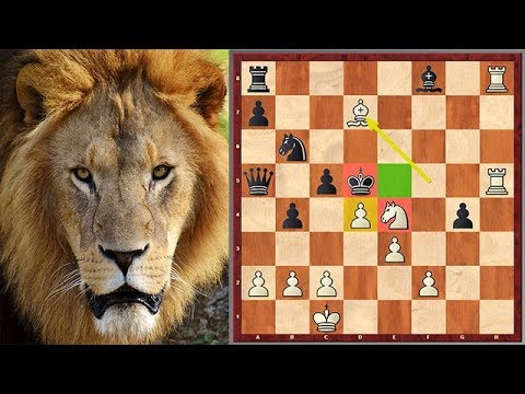 Absolutely Fantastic King Hunt In The Center Of The Board
