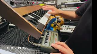 WARM AUDIO ( ウォームオーディオ ) WA-C1 Warm Chorus Vibrato 送料