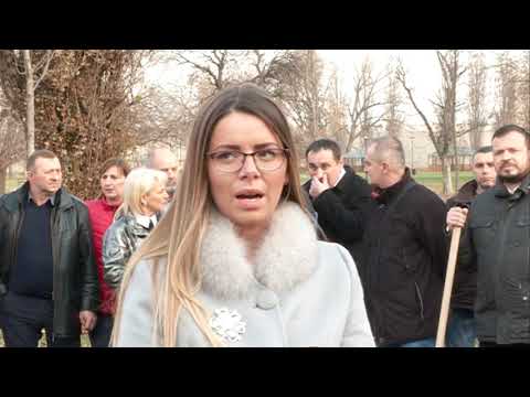 GrO SNS u Smederevu organizovao akciju pošumljavanja u Tvrđavi