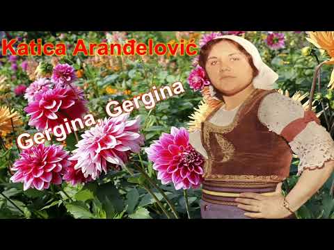 Katica Aranđelović - Gergina, Gergina (godina 1973)