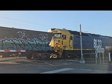 7733V PN empty grain (BL31, BL33), Geelong to Murtoa, 1930, 19/12/24, Ararat West VIC