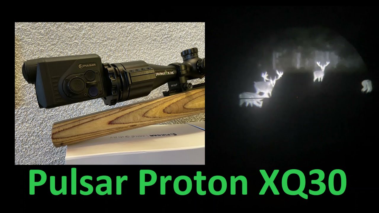 Wärmebildvorsatzgerät - Pulsar PROTON XQ30 l Test am Rotwild auf 80m