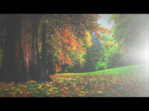 Vasilija Radojčić, Bilbil pile, ne poj rano