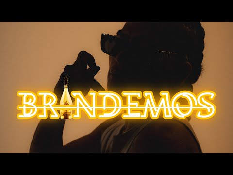 ALEXO CORA - BRINDEMOS 🥂