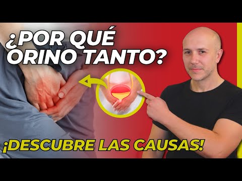 ¡ATENCIÓN! CAUSAS DE ORINAR MUY FRECUENTE | ¿TENER MICCIÓN FRECUENTE SIGNIFICA QUE TIENES DIABETES?