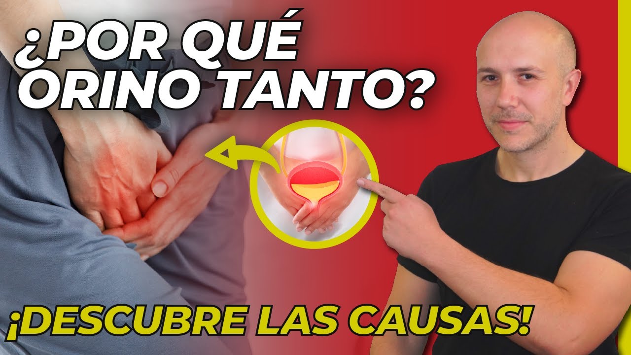 ¡ATENCIÓN! CAUSAS DE ORINAR MUY FRECUENTE | ¿TENER MICCIÓN FRECUENTE SIGNIFICA QUE TIENES DIABETES?