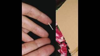 Laurence Guy - Wildlife (Studio Barnhus)