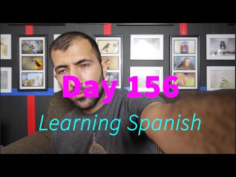 Learning Spanish Day 156 (Rosetta Stone Review)