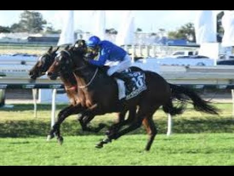 2017  BRC Stradbroke Handicap