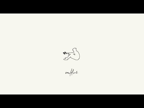 austin chen - could've (audio)