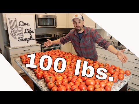 Freeze Dried Tomato // Tomato Sauce, Juice, Soup,...