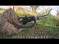 Indian Army Sniper With King Cobra Snake Indian Army Sigma Rule Indianarmy Armysigmarule