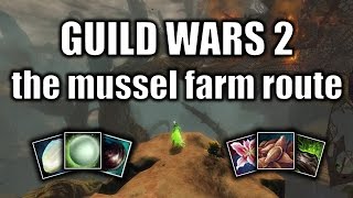 Guild Wars 2 gold guide: the mussel farm route (June 2016)