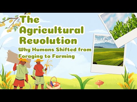 The Agricultural Revolution: Why Humans Shifted from Foraging to Farming | History Explained