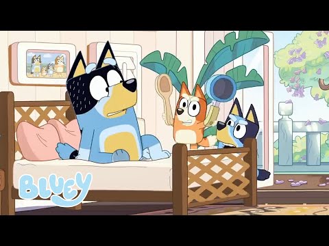 Compilação de episódios completos | Bluey Português Brasil Canal Oficial 🇧🇷