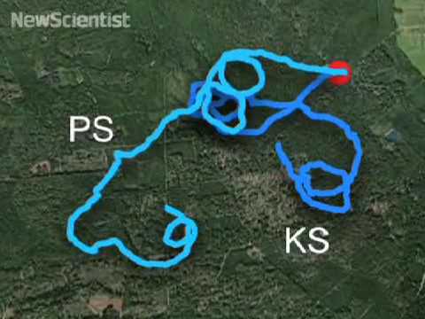 We can't help walking in circles