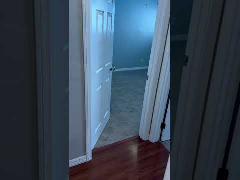 SECOND MONTH FREE! Updated 2BR/1BA in Hillcrest – Parking + Modern Kitchen property video