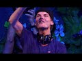 Avicii - Wake Me Up (Live at Tomorrowland, 27th July 2013)