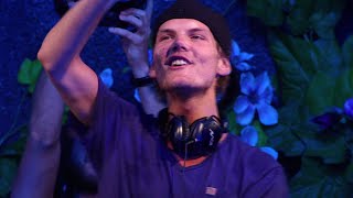 Avicii - Wake Me Up (Live at Tomorrowland, 27th July 2013)