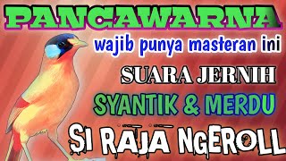 Download lagu MASTERAN TERAPI PANCAWARNA GACOR SUARA JERNIH mp3 Download lagu MASTERAN TERAPI PANCAWARNA GACOR SUARA JERNIH mp3