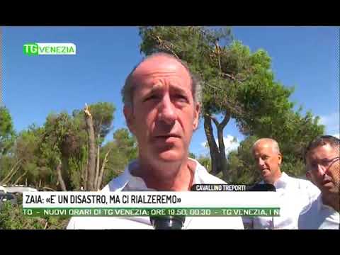 TG VENEZIA - Edizione completa venerdì 11 agosto 2017