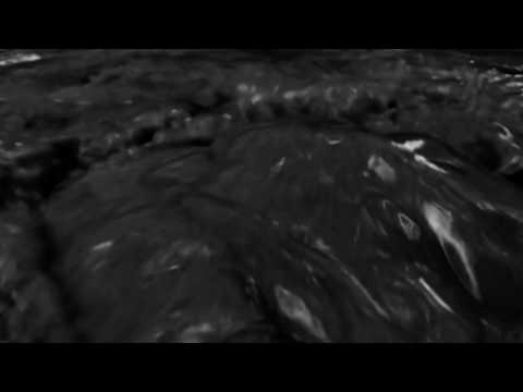Ferrofluidity - Endless Roar