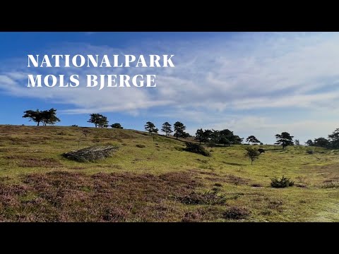 🇩🇰 Durch Mols Bjerge