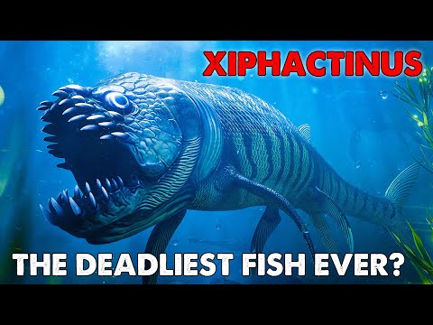 Xiphactinus – The Cursed Predator of the Ancient Sea