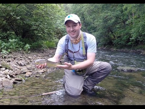 Fliegenfischen am Neckar