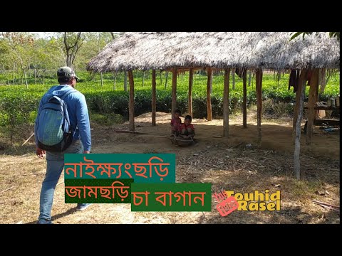 আশারতলী চা বাগান