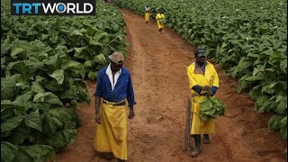 DO THEY WANT THERE LAND BACK