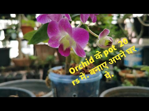 download lagu mp3 mp4 Rs Orchid, download lagu Rs Orchid gratis, unduh video klip Rs Orchid