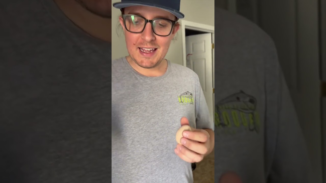 Incubating Eggs to Hatch New Baby Chicks! #chickens #eggs #chickencoop #incubator