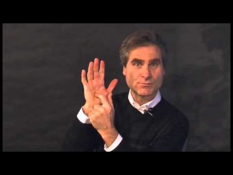 The Neuroscience of Mindfulness, Dr. Stephane Treyvaud