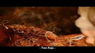 Elton John - Blessed. ( subtitulado en español )