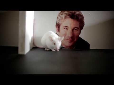 Acbess - Trequarti (Prod. Mardoch Ciemme/Dj S.I.D.)