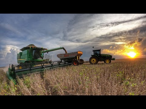 Colheita rendeu bastante e a Soja também || Mais um talhão com produção excelente!!